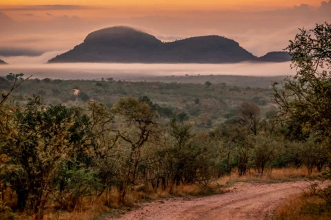 Mfafa Safaris